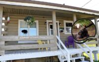 Moose Cottage no. 1
